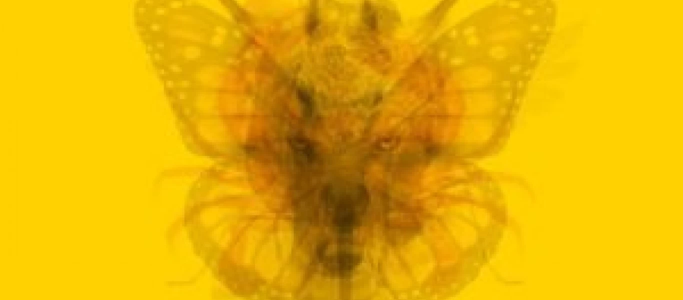 Πες μας ποιο ζώο βλέπεις πρώτο στην παρακάτω εικόνα να σου πούμε τι δείχνει για την προσωπικότητά σου